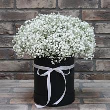 Цветочная композиция из Гипсофила в шляпной коробке #REPLACE_PRED# Никеле
