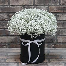 Композиция коробка гипсофил в Никеле Цветочная композиция из Гипсофила в шляпной коробке в Никеле